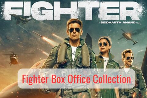 Fighter Box Office Collection